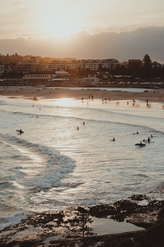 People swimming and surfing at Bondi beach at sunset. - Australian Stock Image