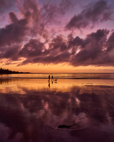 People walking dog on beach at sunrise - Australian Stock Image