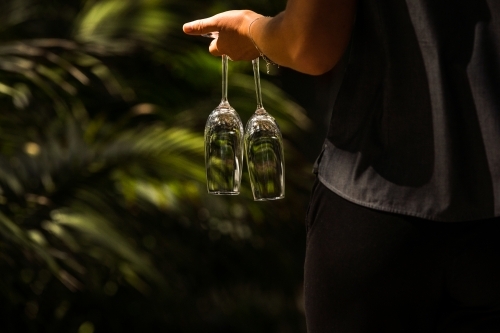 Person holding two champagne glasses upside down with leaves in the background - Australian Stock Image