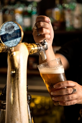 Person pouring a beer in a pub - Australian Stock Image