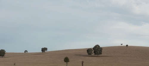 picturesque iconic Australian countryside - Australian Stock Image