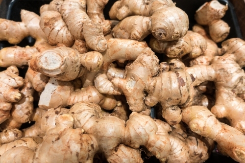 Pile of fresh ginger root. - Australian Stock Image