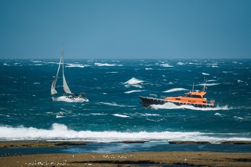 Pilot boat passes sail boat - Australian Stock Image