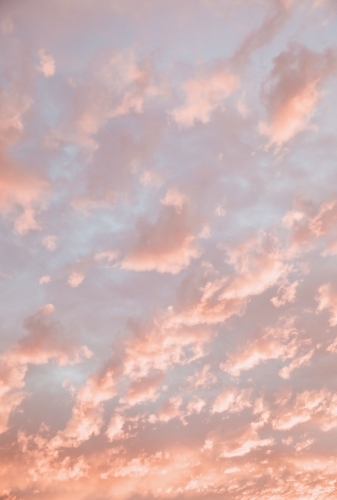 Pink Clouds - Australian Stock Image