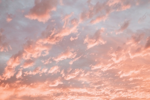 Pink Clouds - Australian Stock Image