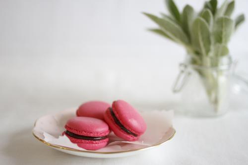 Pink macarons on crockery plate against white