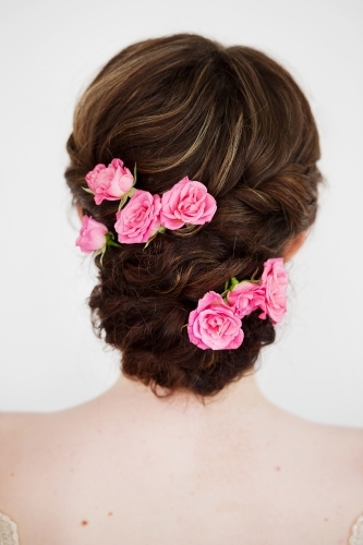 pink rose flowers in braided formal wedding hair - Australian Stock Image