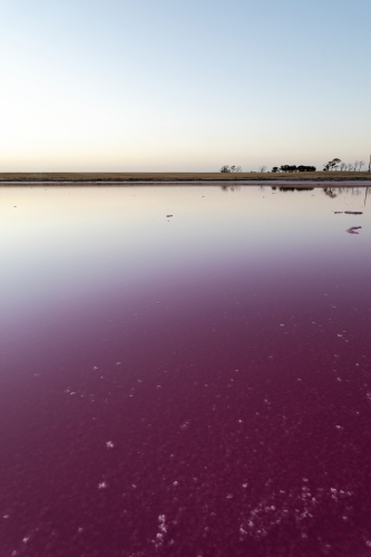 pink water in salt lake at dusk - Australian Stock Image