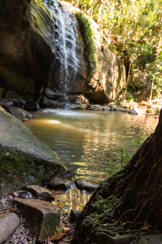 pool of water at the base of Buderim Falls - Australian Stock Image