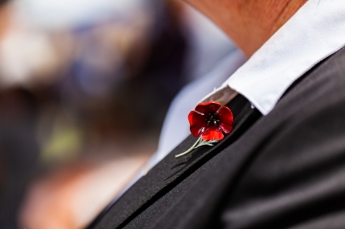 Poppy pin on shirt collar on remembrance day - Australian Stock Image