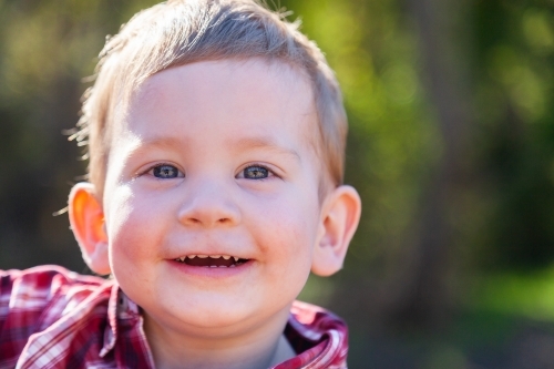 Portrait of a smiling little boy - Australian Stock Image