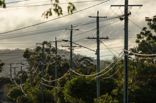 Power lines suspended on electricity poles on a street in Brisbane, Queensland - Australian Stock Image