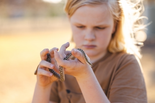 Pre-teen adolescent boy holding pet children's python snake - Australian Stock Image