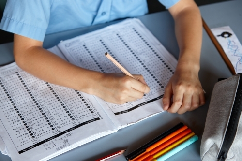 Primary school student in classroom working on homework - Australian Stock Image