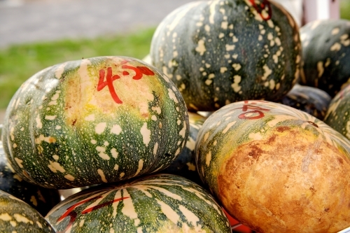 Pumpkins for sale at a regional market - Australian Stock Image