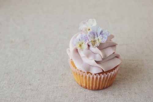 Purple cupcake with sugared edible flowers - Australian Stock Image