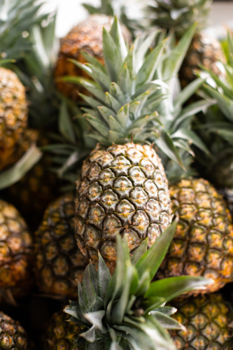 Queensland pineapples for sale at the markets - Australian Stock Image