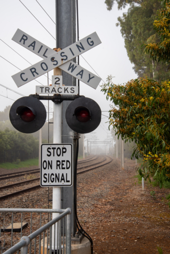 Railway crossing sign at a level crossing in Brighton, Adelaide on a foggy day - Australian Stock Image