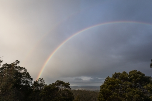 Rainbow above trees and nature scene