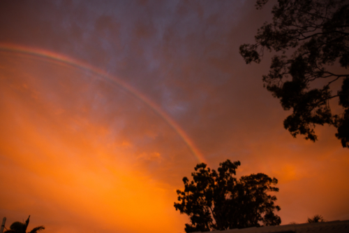 rainbow against orange clouds at sunset with silhouetted trees - Australian Stock Image