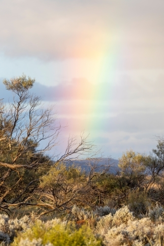 rainbow over outback landscape - Australian Stock Image