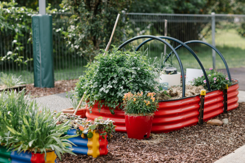 Raised plant beds with variety of flowers. - Australian Stock Image