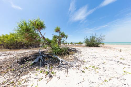 Record Point, white sand beach in Arnhem Land - Australian Stock Image