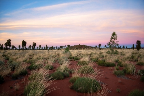 Red desert sands at sunrise - Australian Stock Image