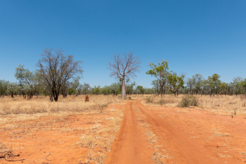 Red sand track in outback Northern Territory - Australian Stock Image