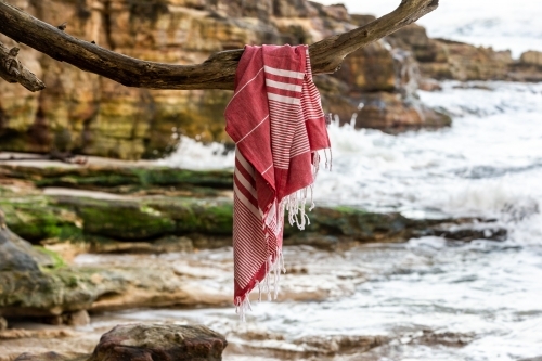 Red towel hanging on a branch over the coast - Australian Stock Image