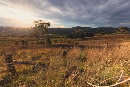 Regional NSW sunset landscape with lone emu standing at fence - Australian Stock Image