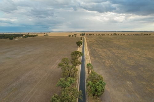 Remote road lined with trees leading into the distance in a rural farming area. - Australian Stock Image