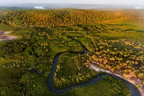 Remote wilderness northern Australia, watercourse and forest - Australian Stock Image