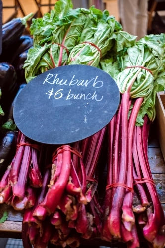 Rhubarb bunches at the markets - Australian Stock Image