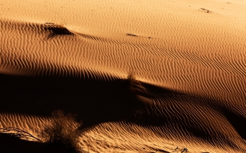 Rippled red sand in late afternoon light - Australian Stock Image