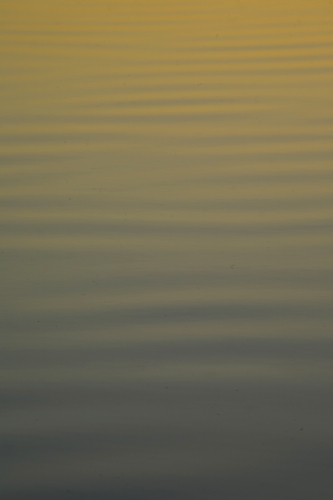 Ripples on a serene lake reflecting sunset colours - Australian Stock Image