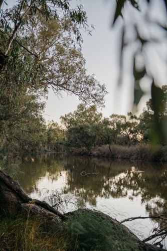 River surrounded by foliage in the afternoon - Australian Stock Image