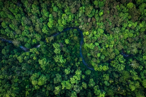 River winding through tropical rainforest - Australian Stock Image