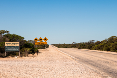 Road signs on side of open straight road of the Nullarbor in bright daylight - Australian Stock Image