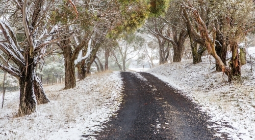 Road through snow covered trees and rural fields.  Australia - Australian Stock Image