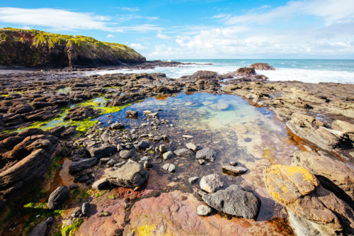 rockpool views around the popular tourist attraction of Flinders Blowhole on a cool winter's day - Australian Stock Image