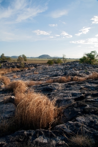 Rocky landscape with dry grass tufts - Australian Stock Image