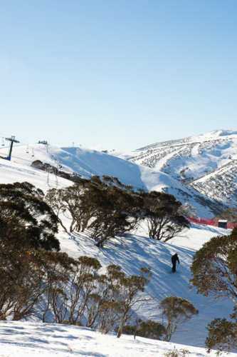 Rolling hills covered in snow with skiier and ski lift in background - Australian Stock Image