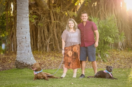 Romantic couple standing together in park with two dogs on leads - Australian Stock Image