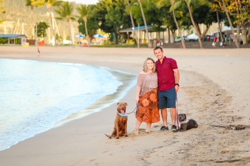 Romantic couple standing with dogs on the beach at the Airlie Beach esplanade - Australian Stock Image