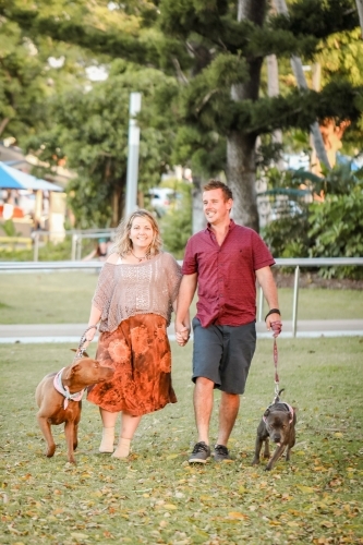 Romantic couple walking dogs in the park in golden afternoon light - Australian Stock Image