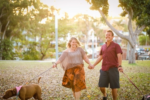 Romantic couple walking dogs in the park in golden afternoon light - Australian Stock Image