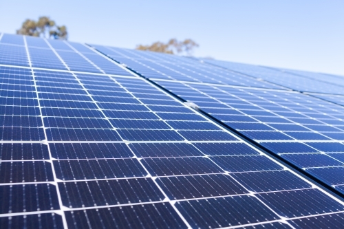 Rows of blue solar panels up to sky on roof of home - Australian Stock Image