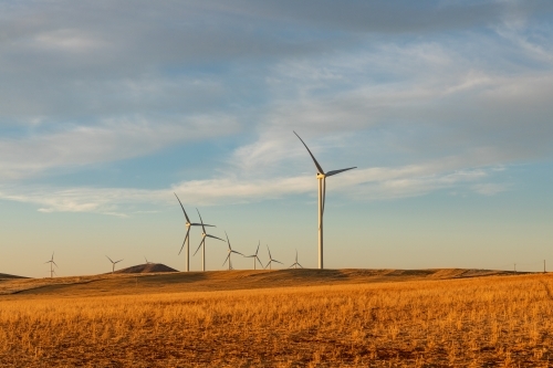 rows of wind turbines in late afternoon light - Australian Stock Image