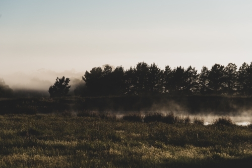 Rural early morning mist at sunrise - Australian Stock Image